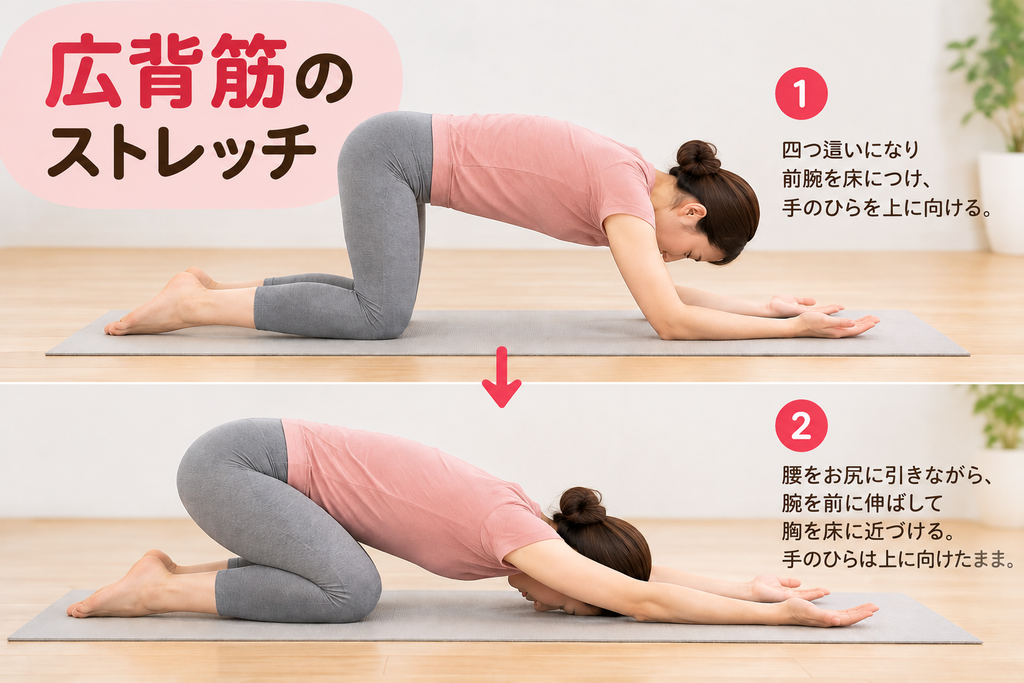 広背筋のストレッチ方法を2段階で解説した画像。四つ這いで前腕を床につけ、手のひらを上に向けた状態から、お尻をかかとに近づけ、両腕を前方に伸ばして胸を床に近づける動作。